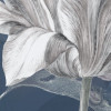 Merian Blue