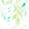 Summer Leaves