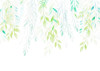 Summer Leaves