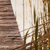 Lakeside