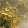 Rio de Luz
