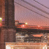 Brooklyn Nights