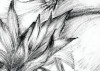 Embroidery