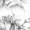 Embroidery