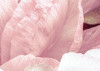 Peonies