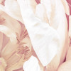 Peonies