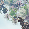 Tropical Heaven