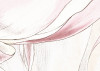 Petals