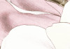 Petals