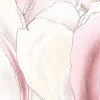 Petals