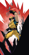 X-Men Wolverine Slit
