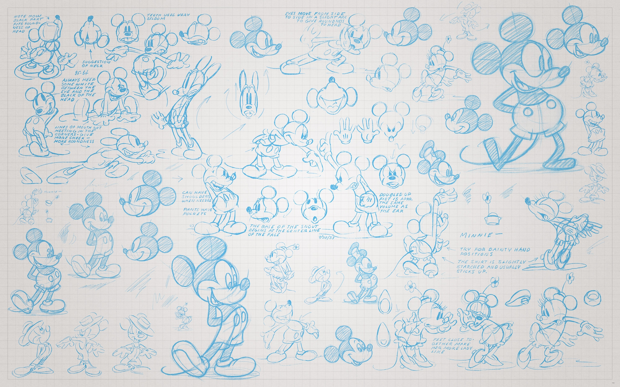 Mickey Sketches
