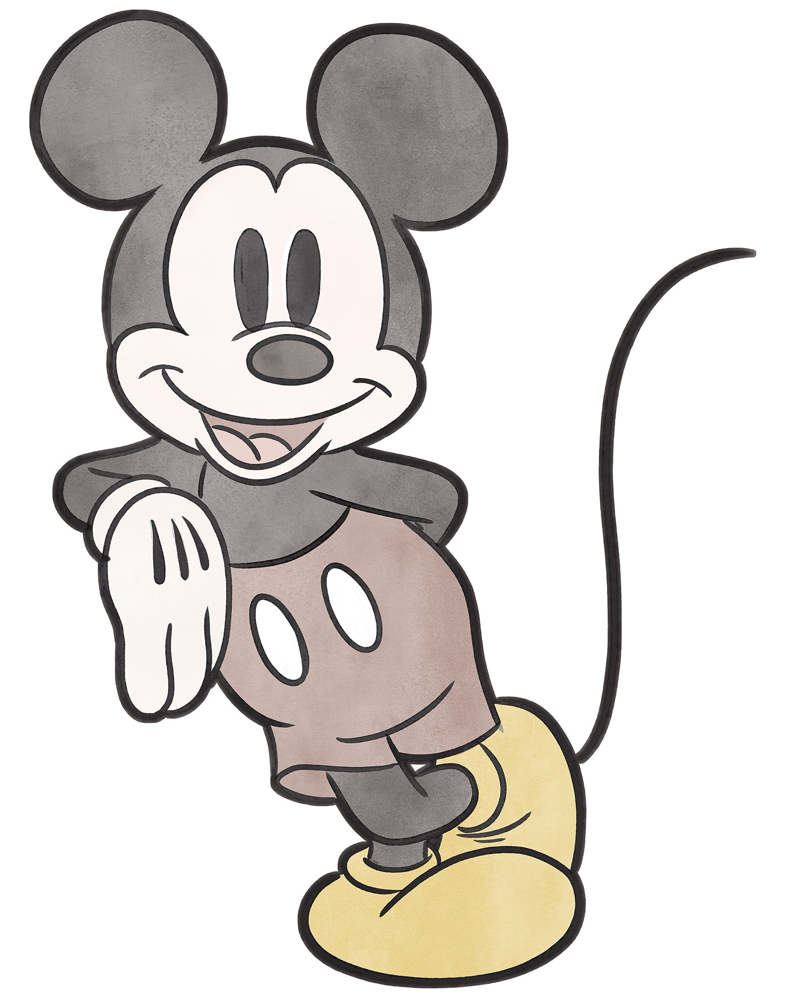 Mickey Essential