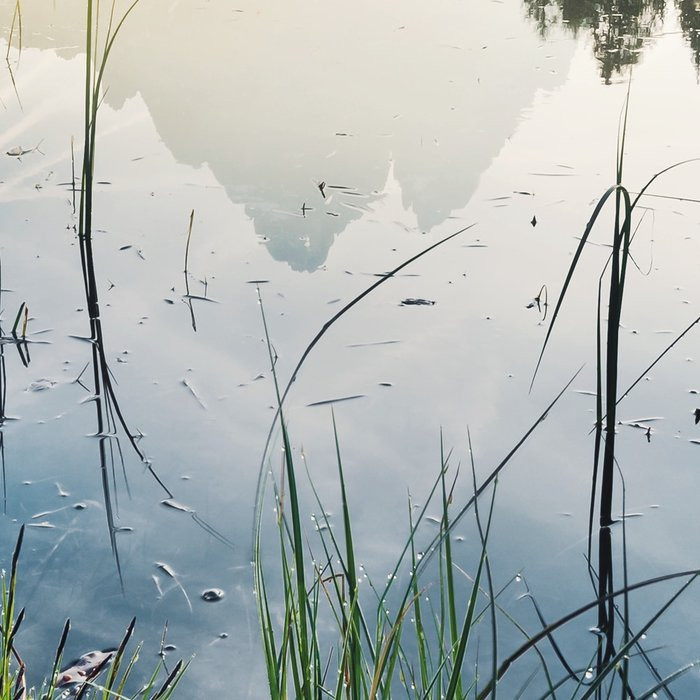 Morning Mist