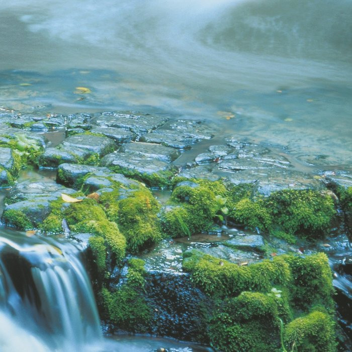 Pura Kaunui Falls