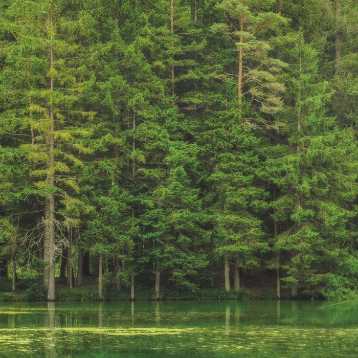 Green Lake