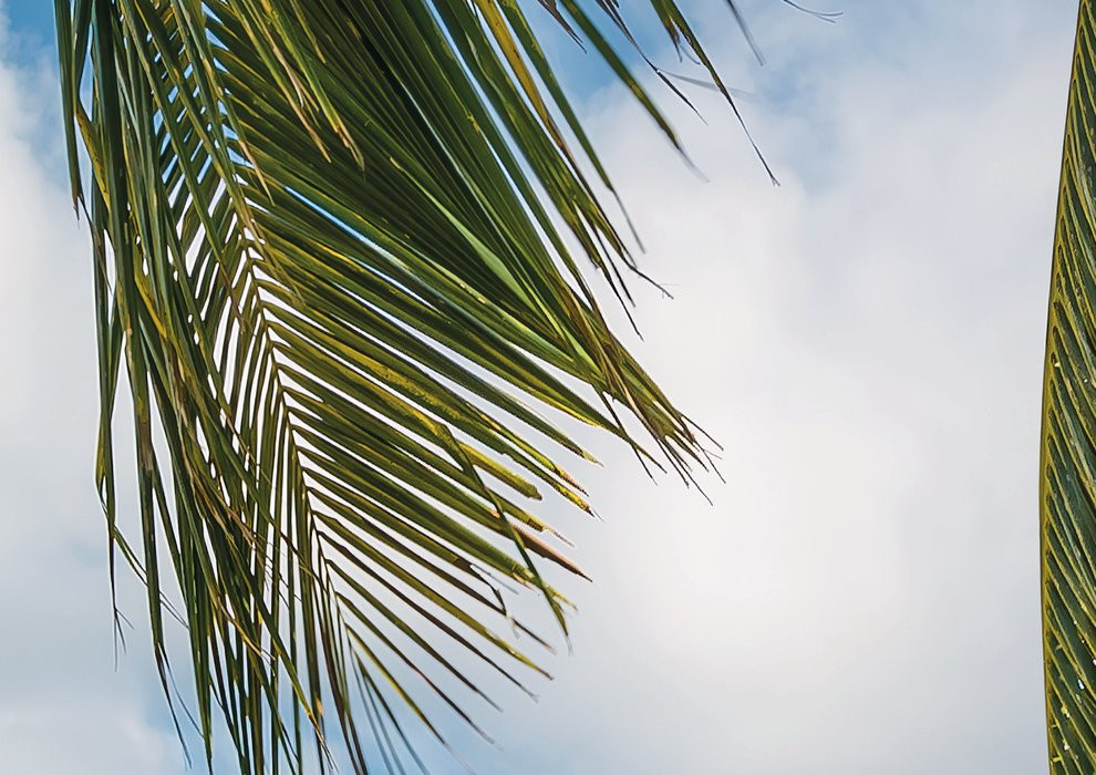 Castaway