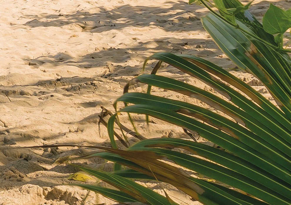 Castaway