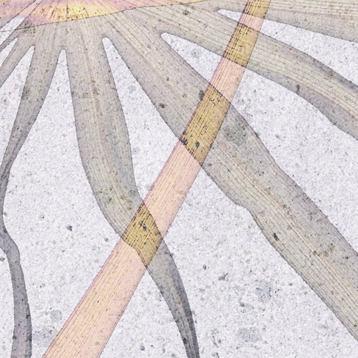 Tropical Concrete