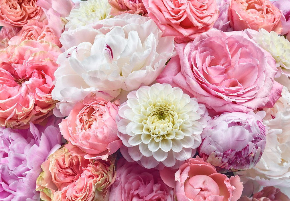 Vibrant Spring