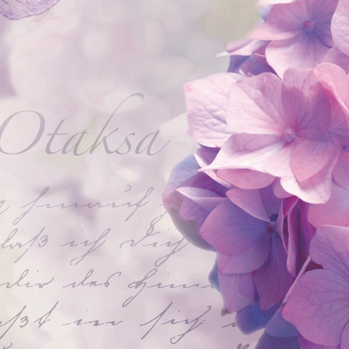 Otaksa