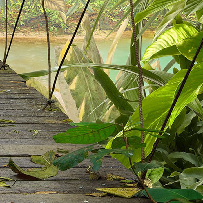 Wild Bridge