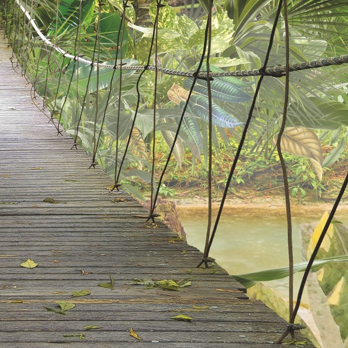 Wild Bridge