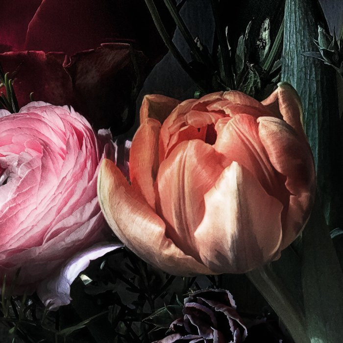 Still Life