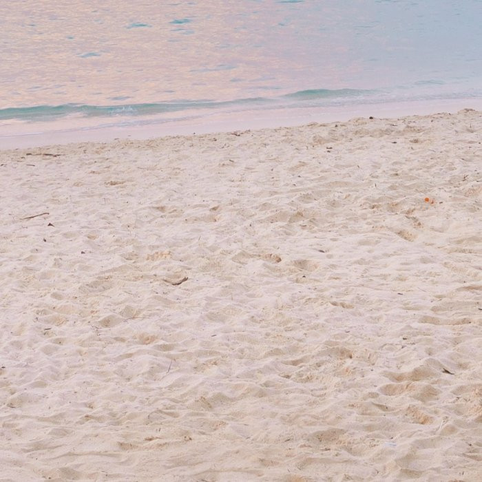 Paradise Morning