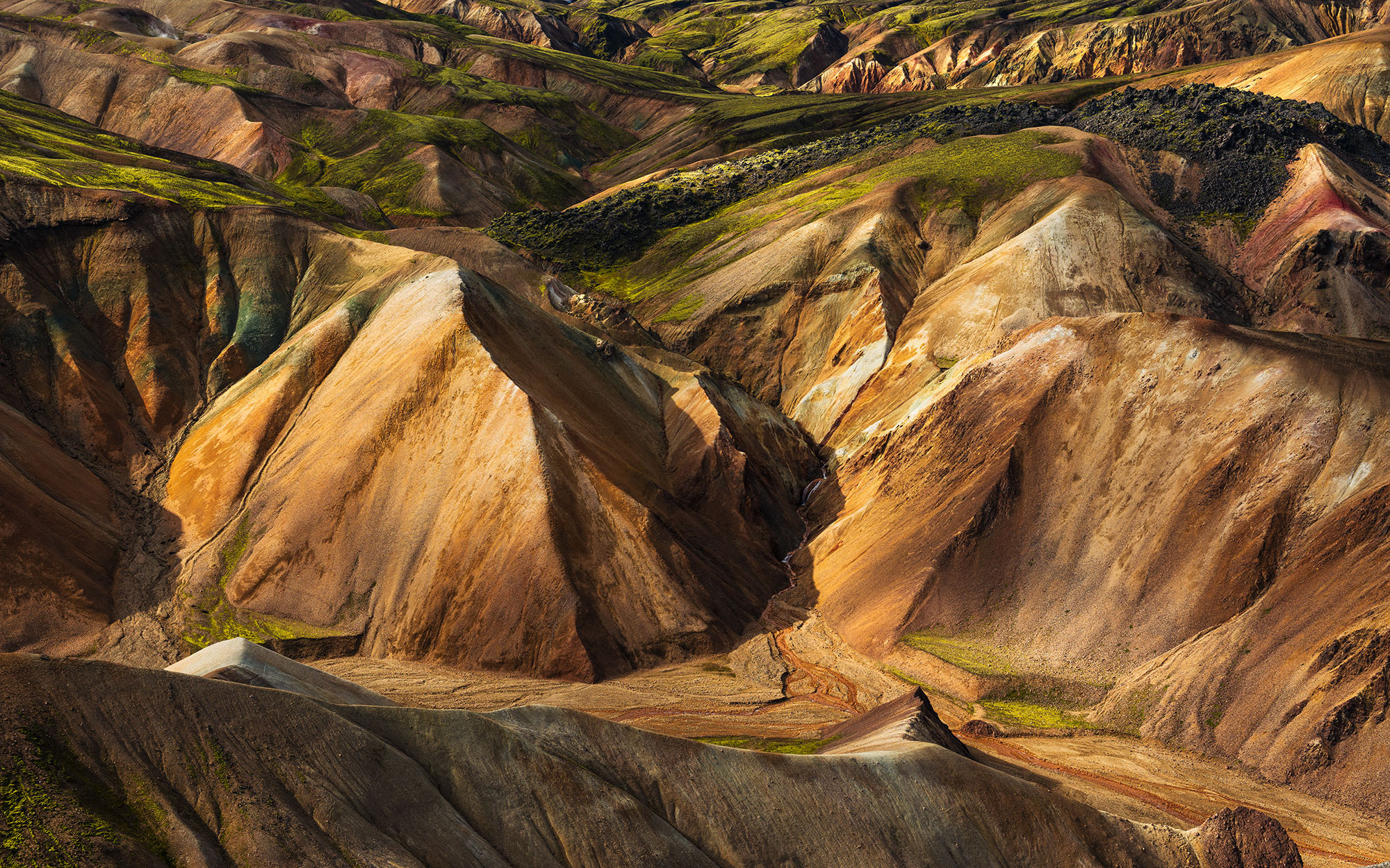 Shiny Mountains