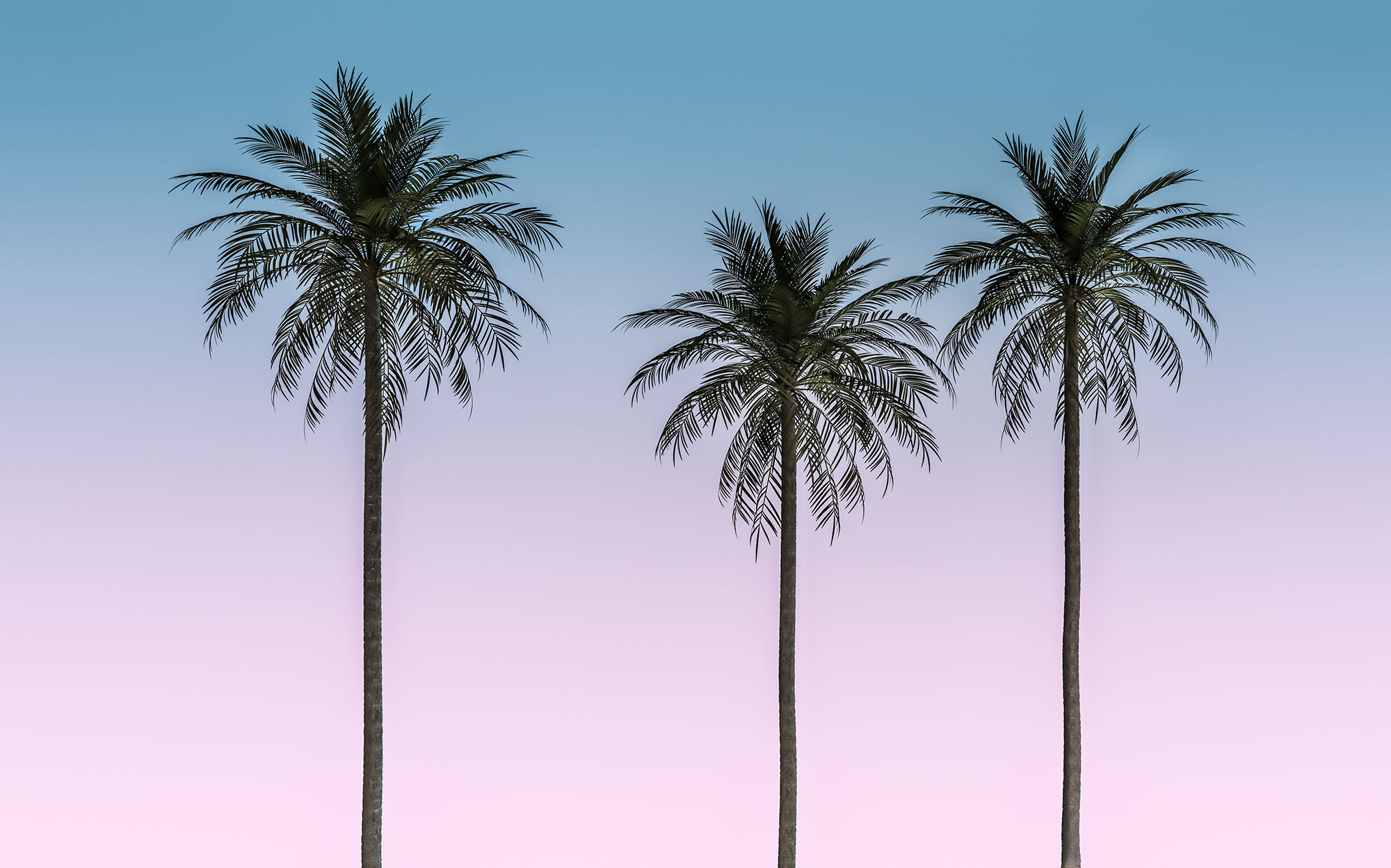 Skyhigh