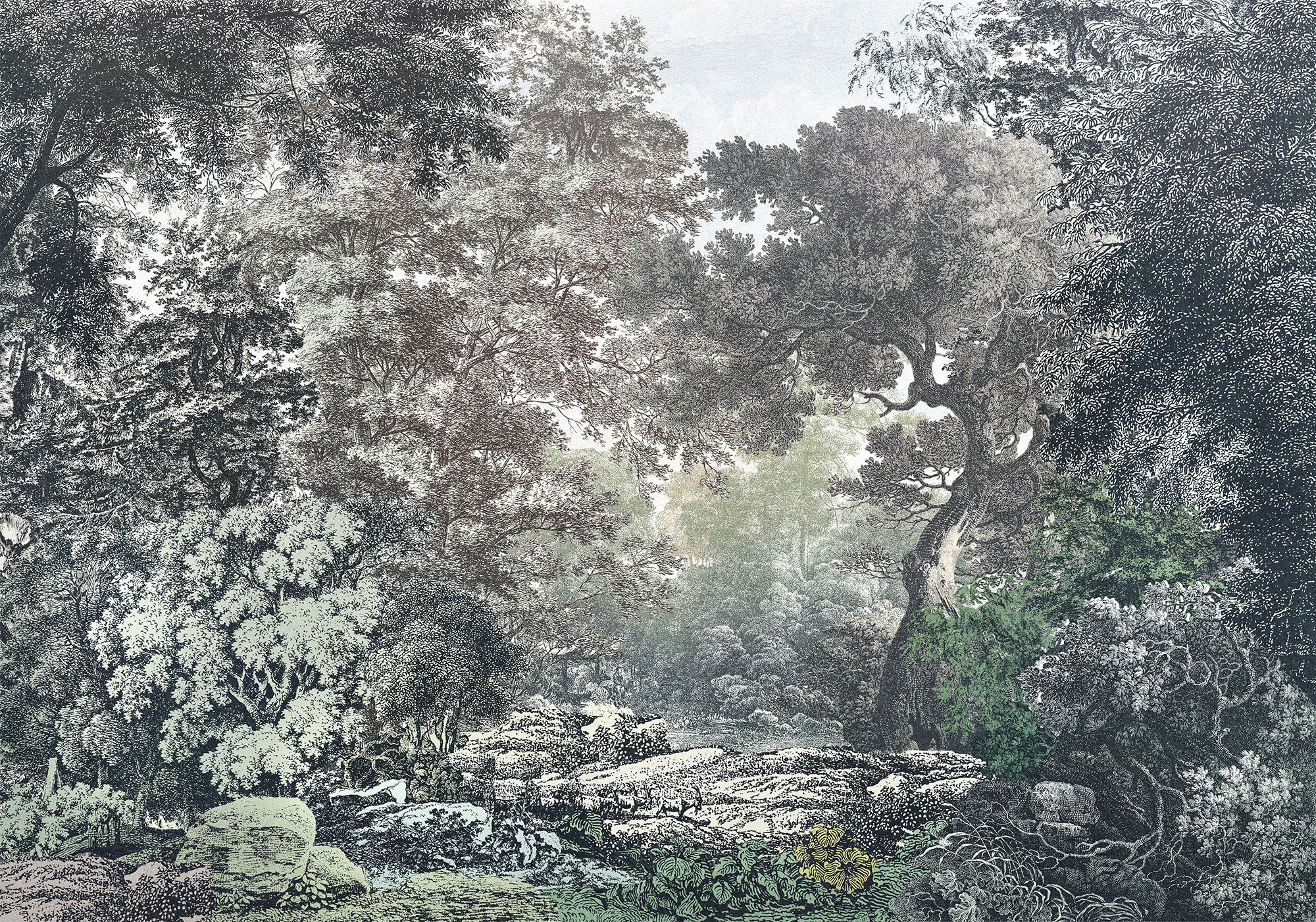 Fairytale Forest