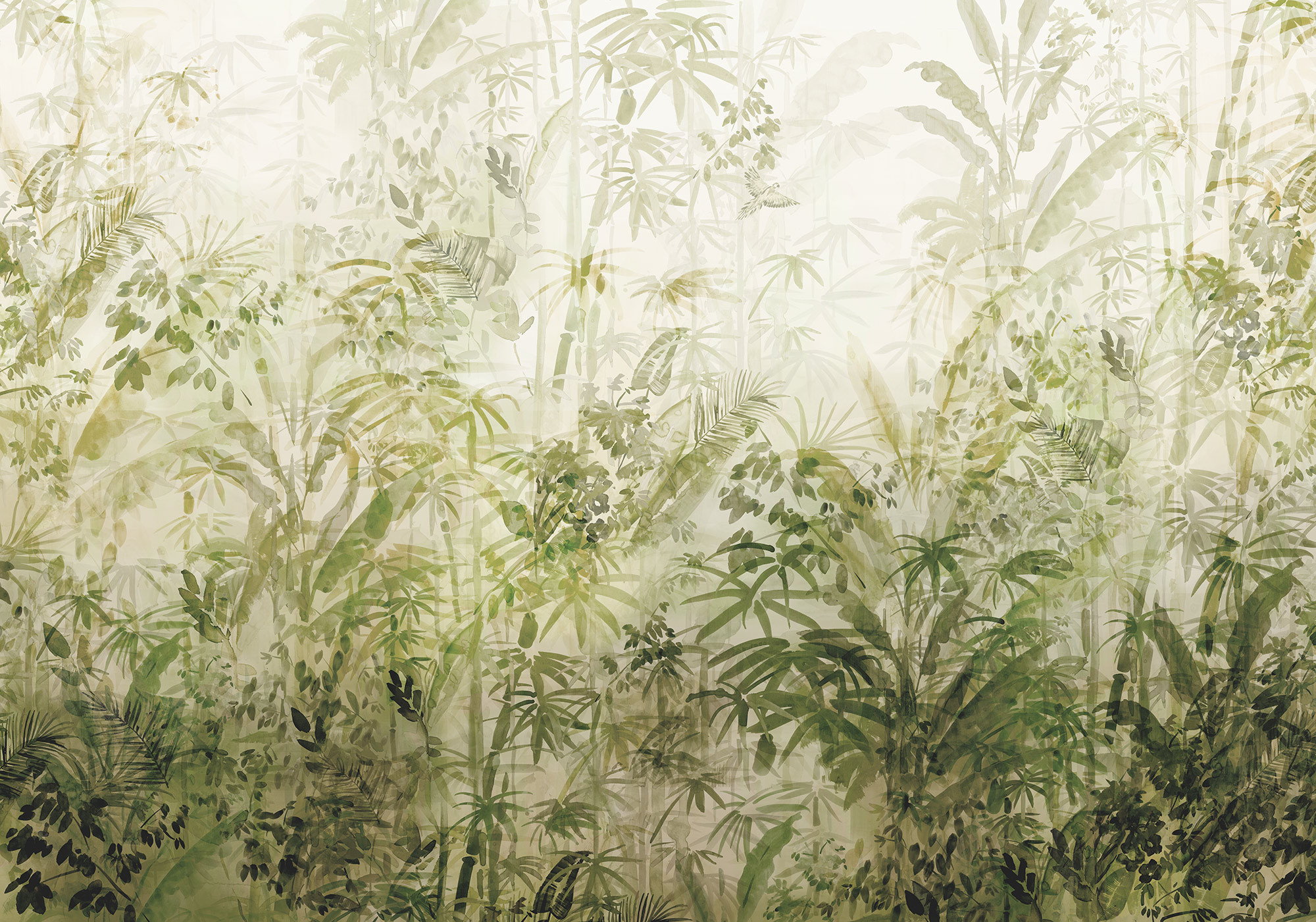 Wilderness
