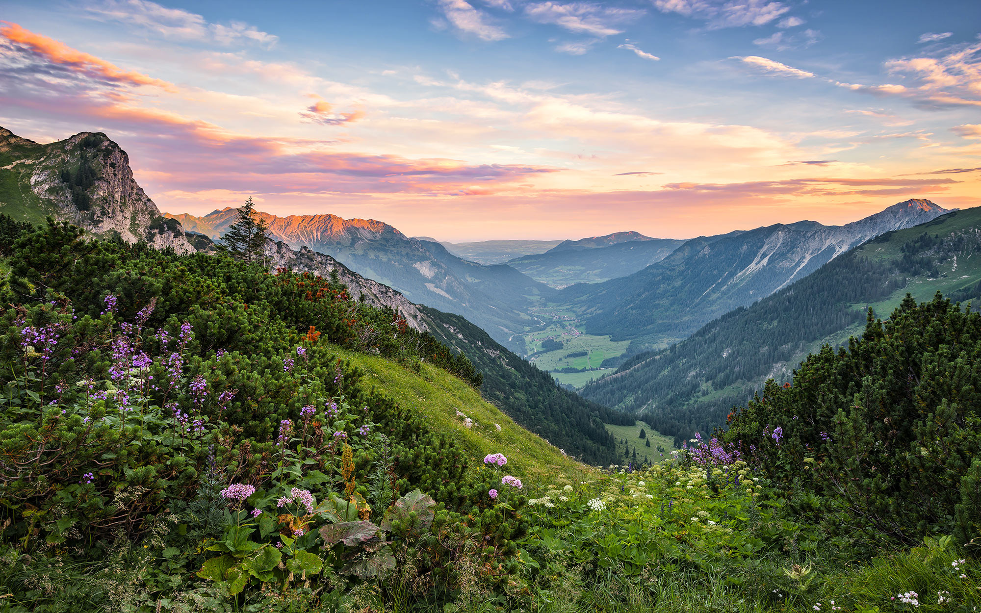 Alps