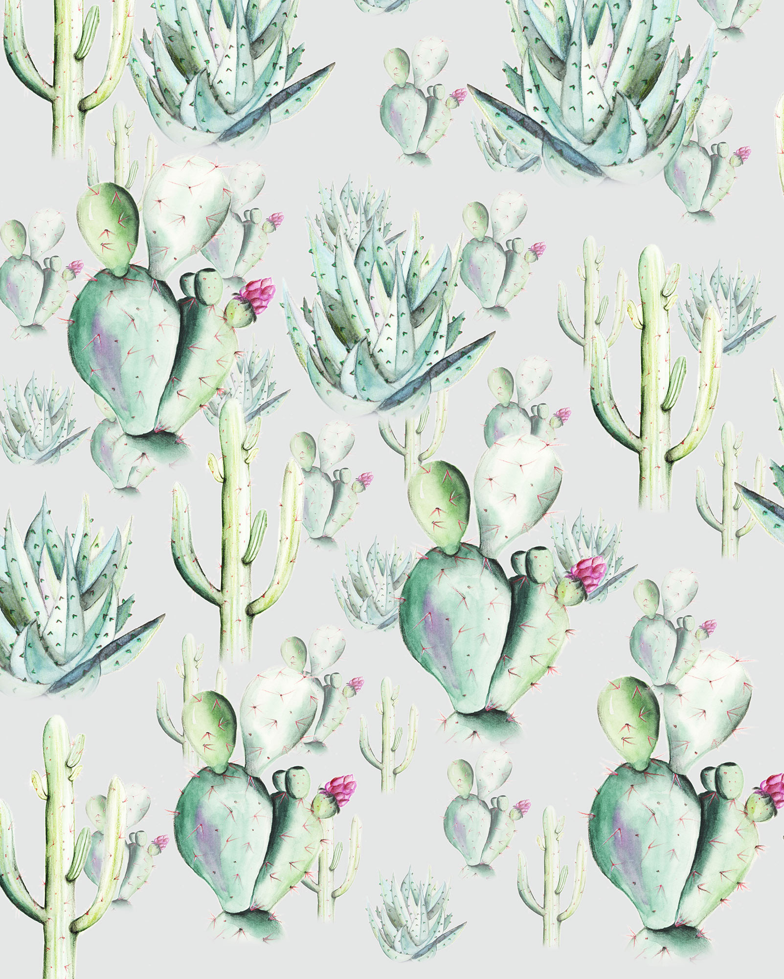 Cactus Grey