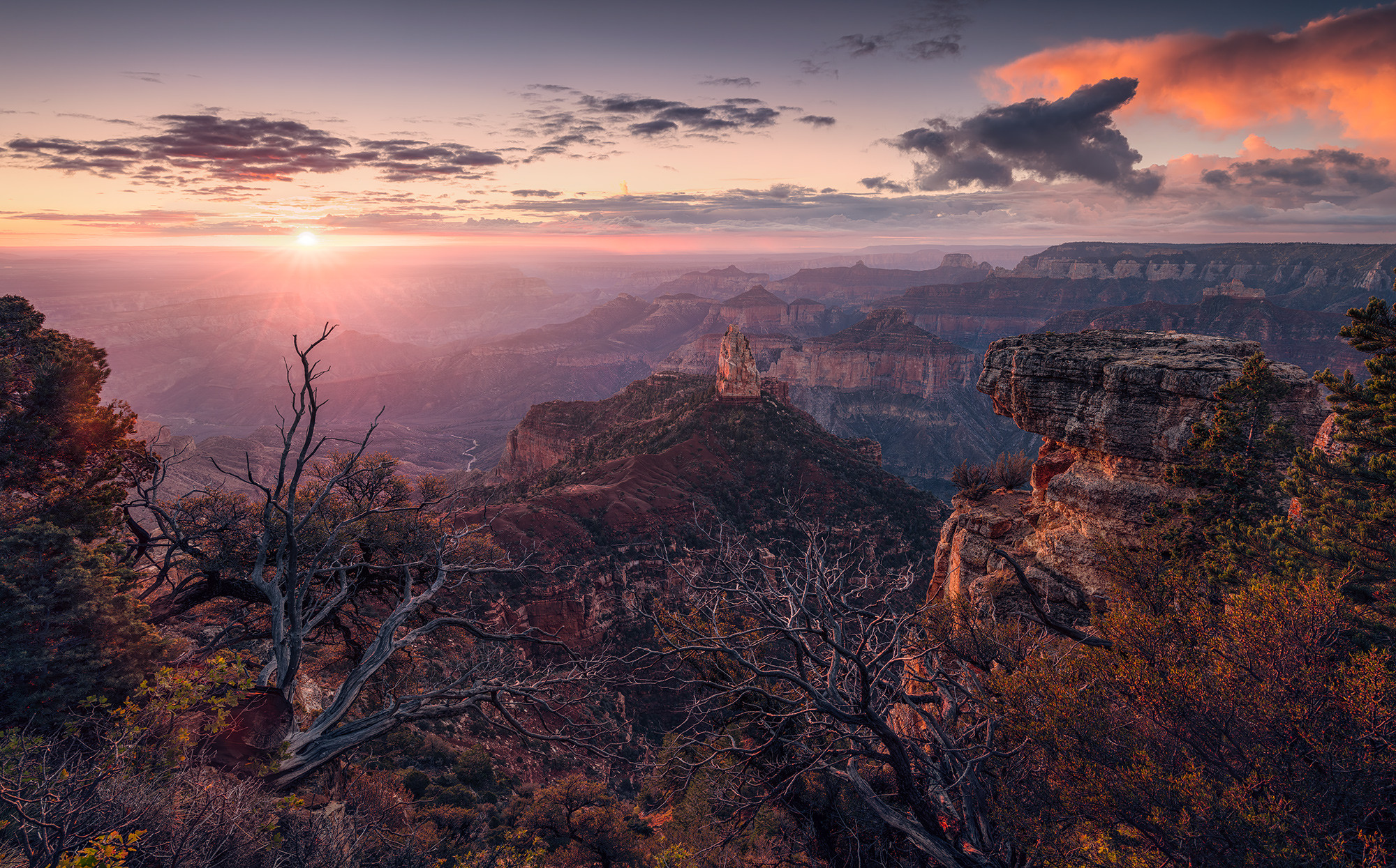 Grand View 