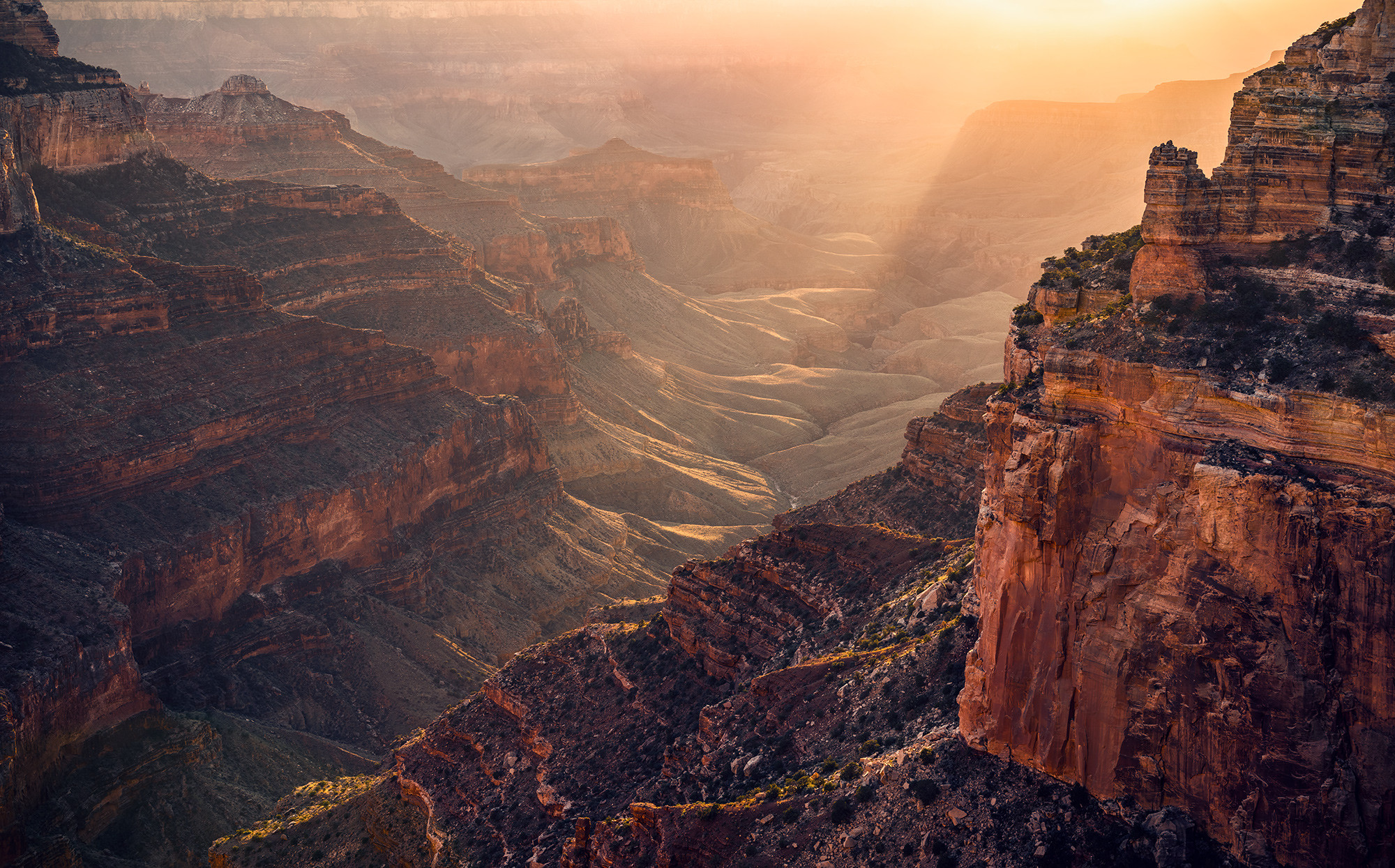 Grand Wonder 