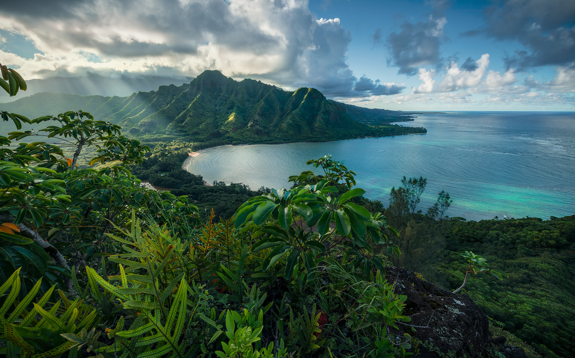 Jurassic Island 
