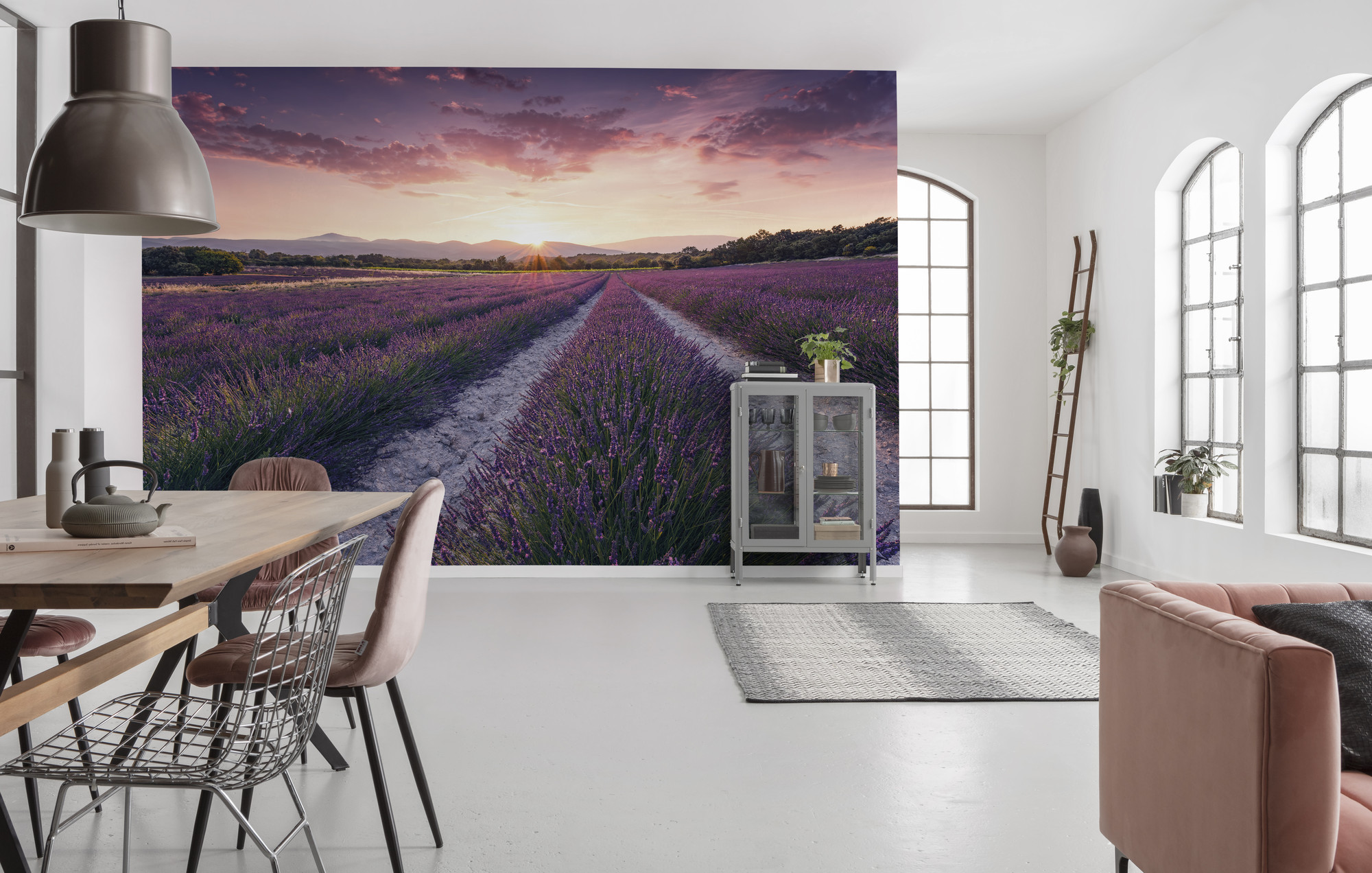 Lavender Dream