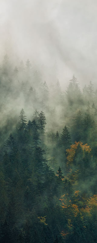Tales of the Carpathians
