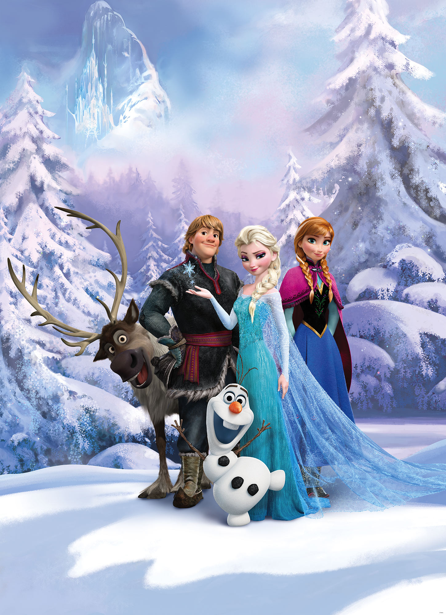 Frozen Winter Land