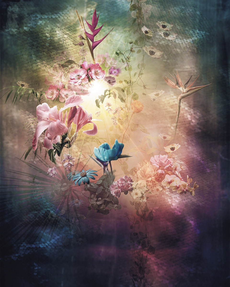 Enlightenment