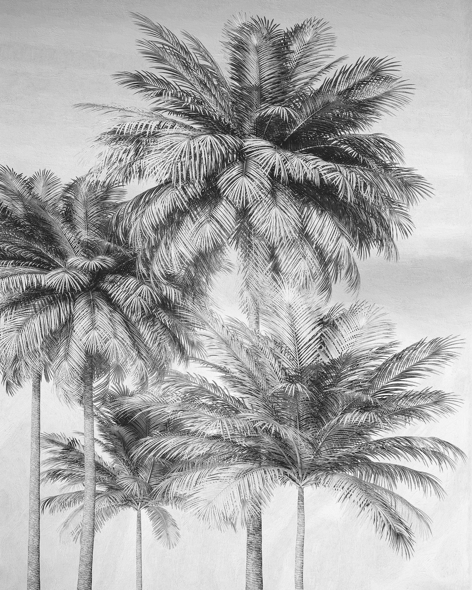 Cocco