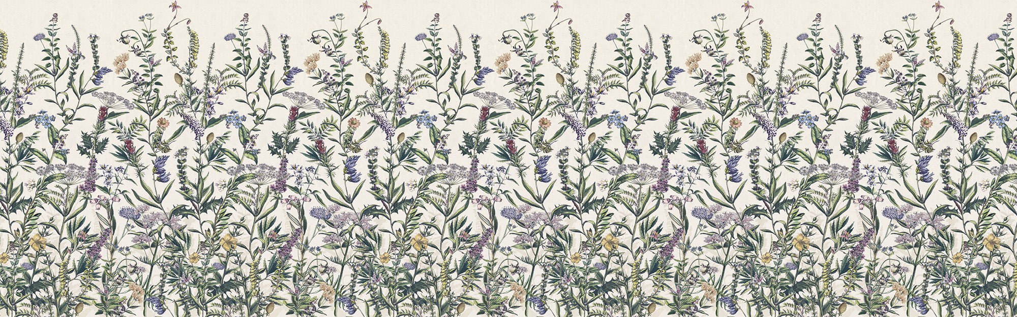 Flowering Herbs