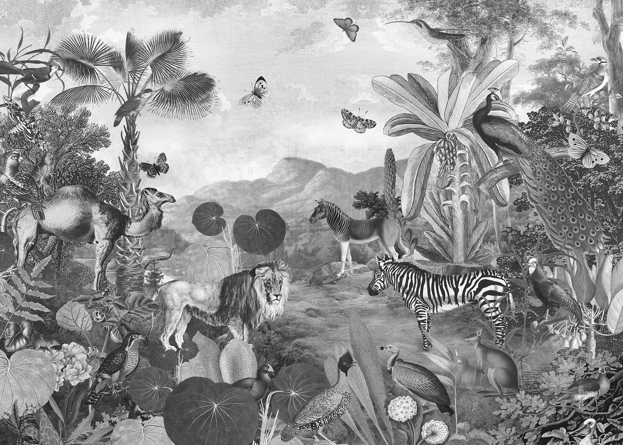 Flora and Fauna