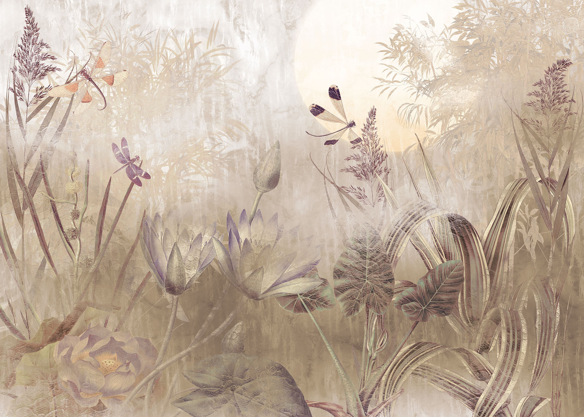 Dragonfly Pond