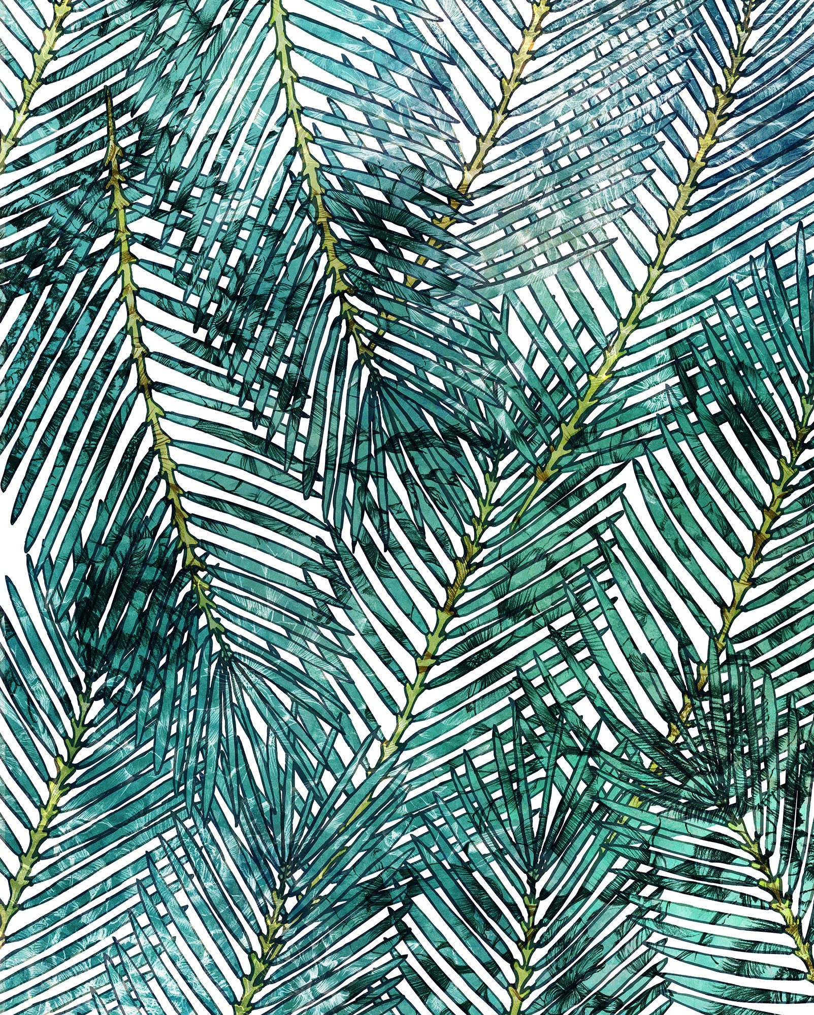 Palm Canopy