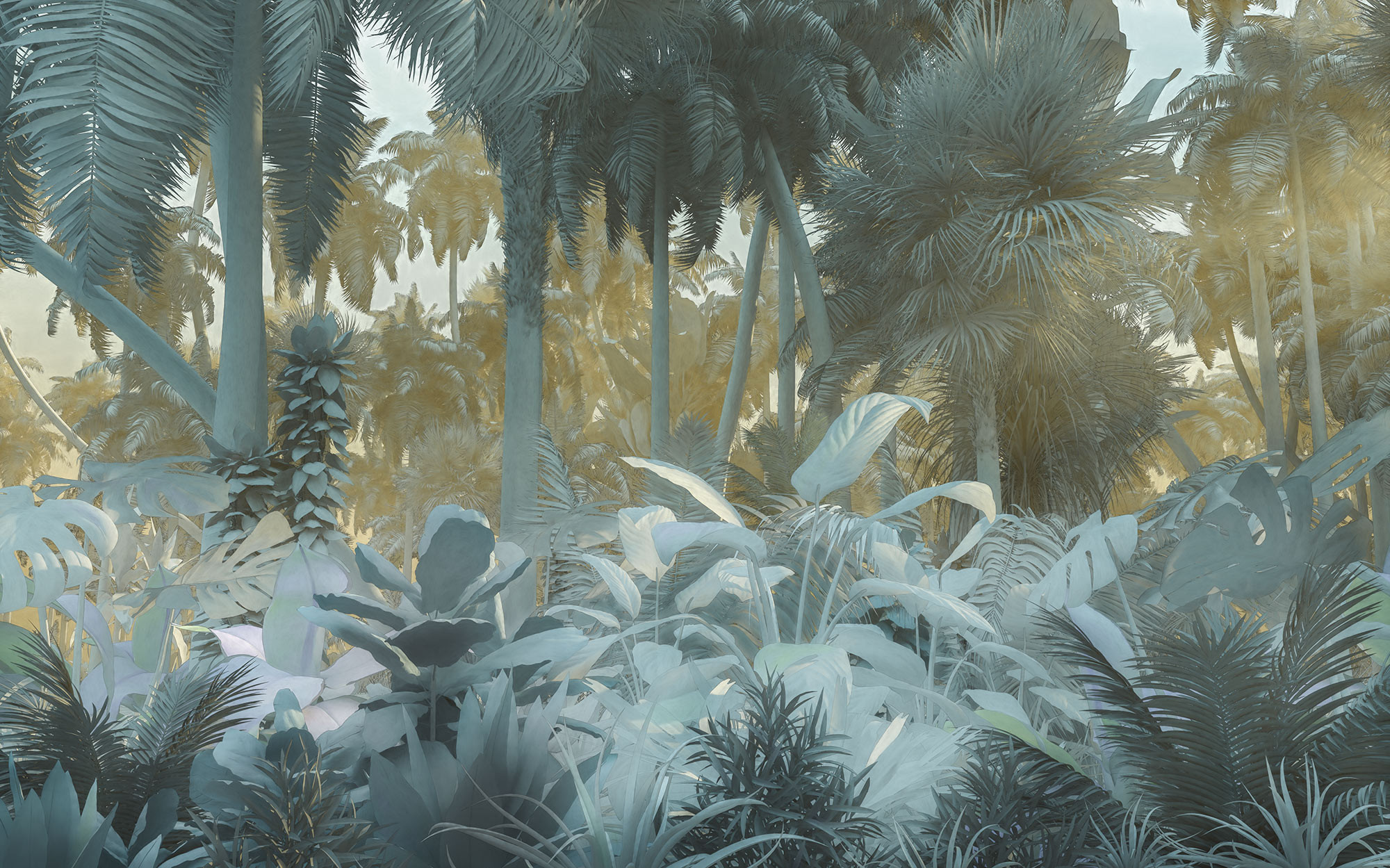 Misty Jungle