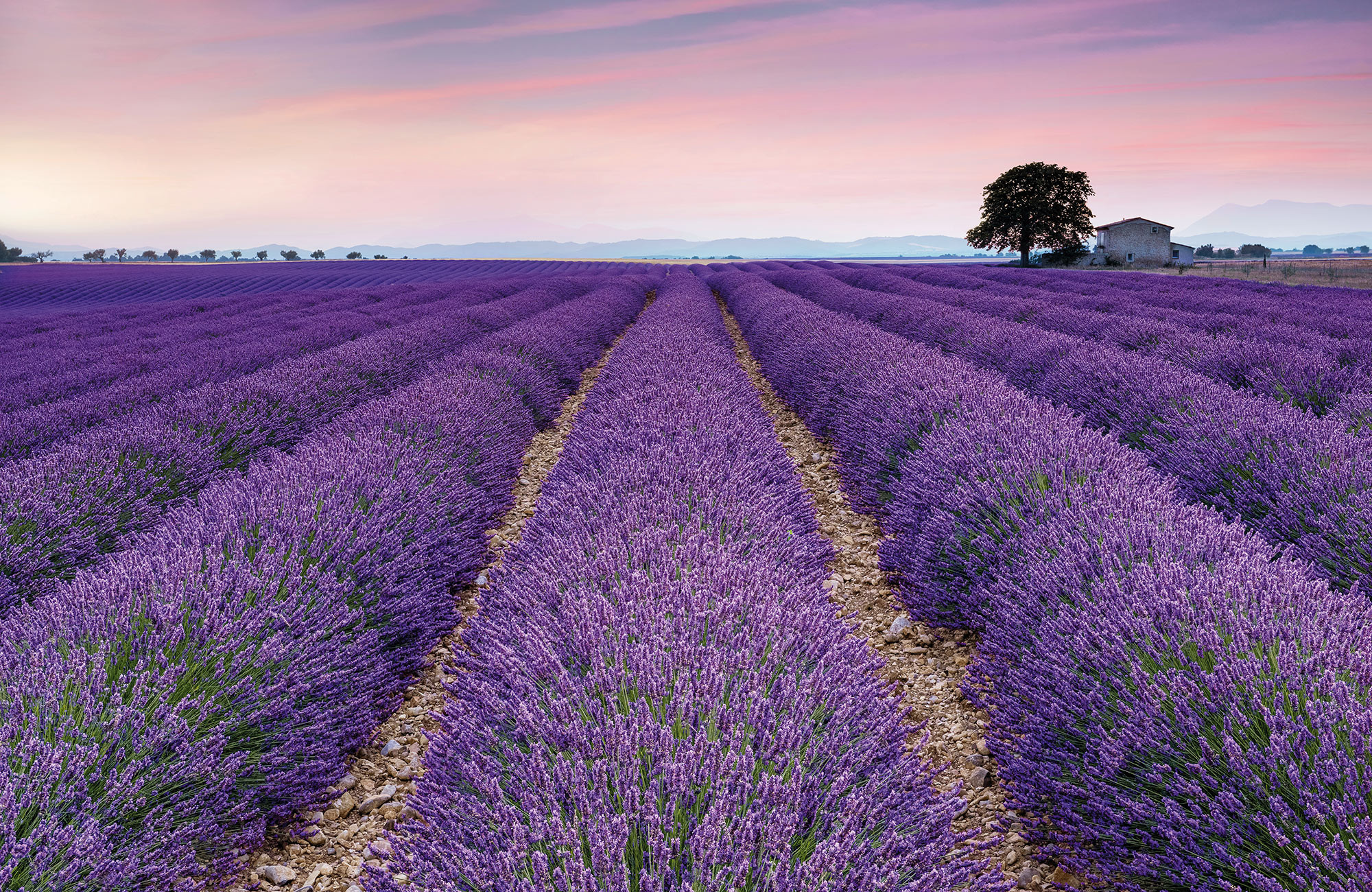 Provence