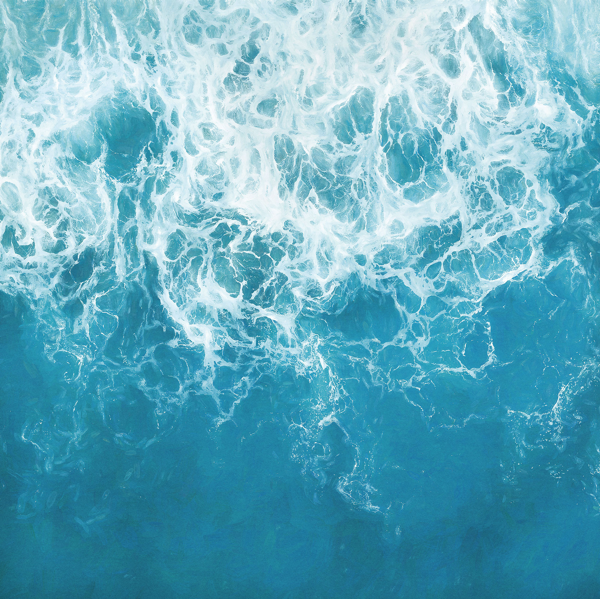The Shore